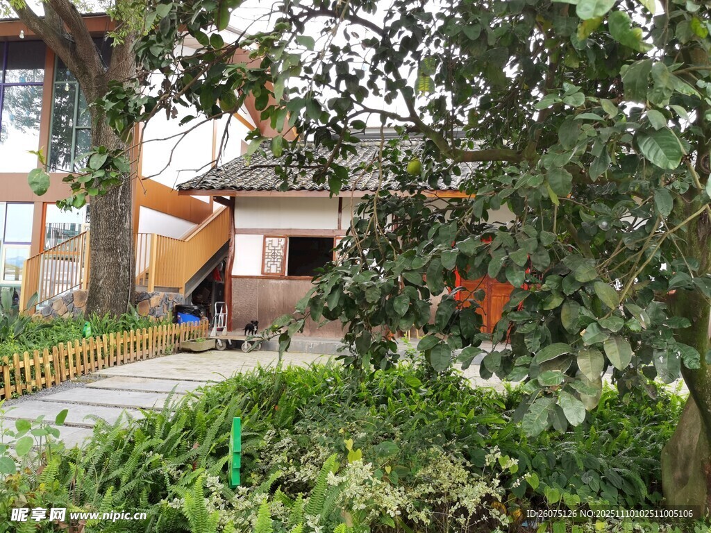 庭院綠植環(huán)繞的溫馨景象