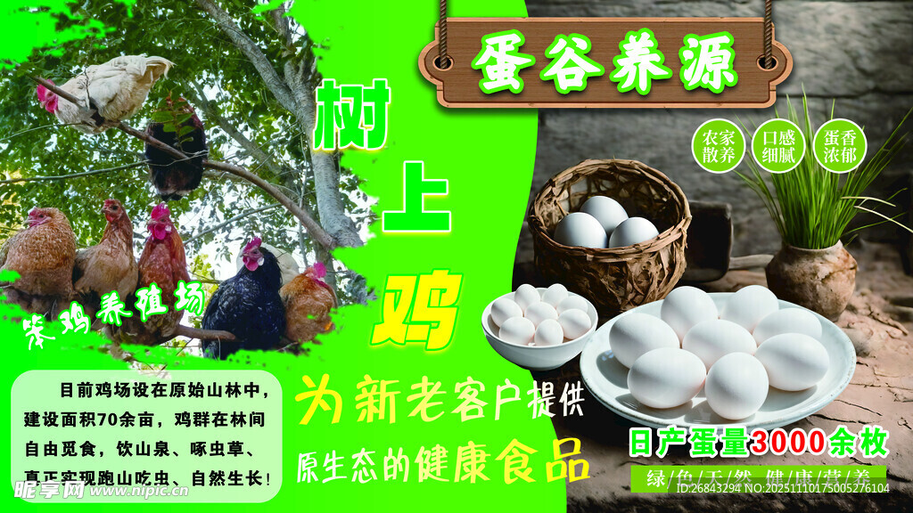 蛋谷禾源農(nóng)家禽蛋展示  雞蛋 