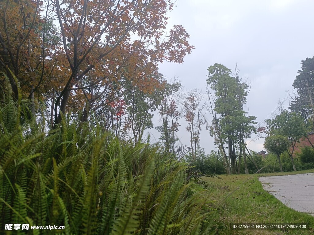 秋日林間小道風景