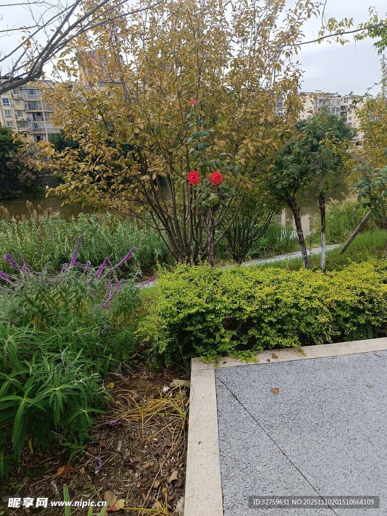 城市花園綠植景觀一角