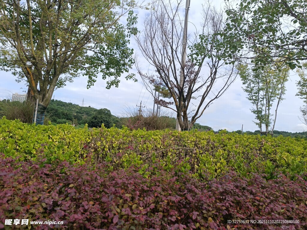 多彩植物裝點(diǎn)的戶外景致