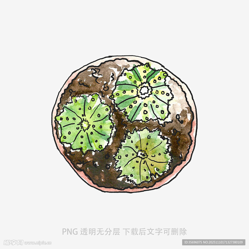 手繪盆栽多肉植物圖