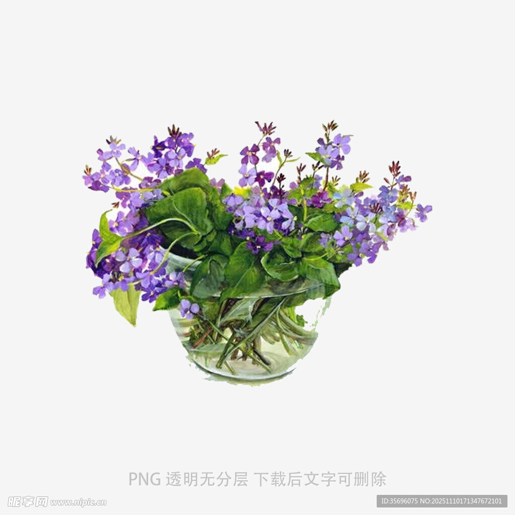 紫色花卉插于透明花瓶中