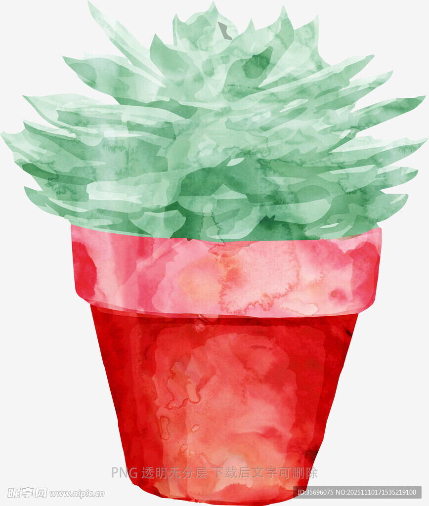 水彩風(fēng)紅色花盆中的多肉