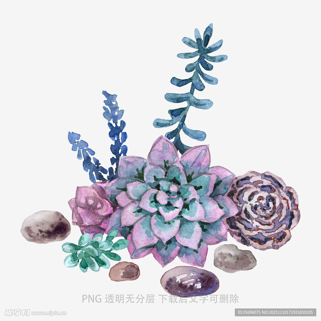 夢(mèng)幻多肉植物組合擺件