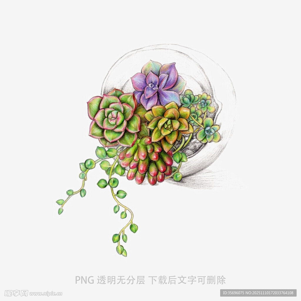 玻璃球中的多彩多肉植物