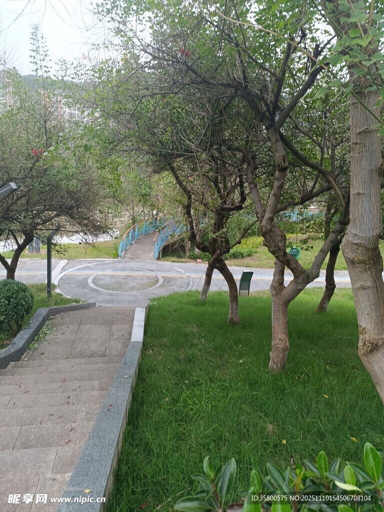 公園林蔭小徑綠意景致