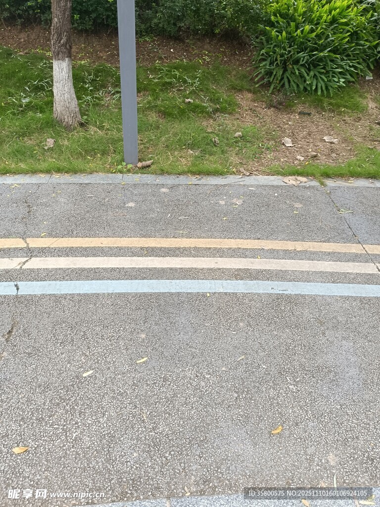 道路斑馬線及周邊景象