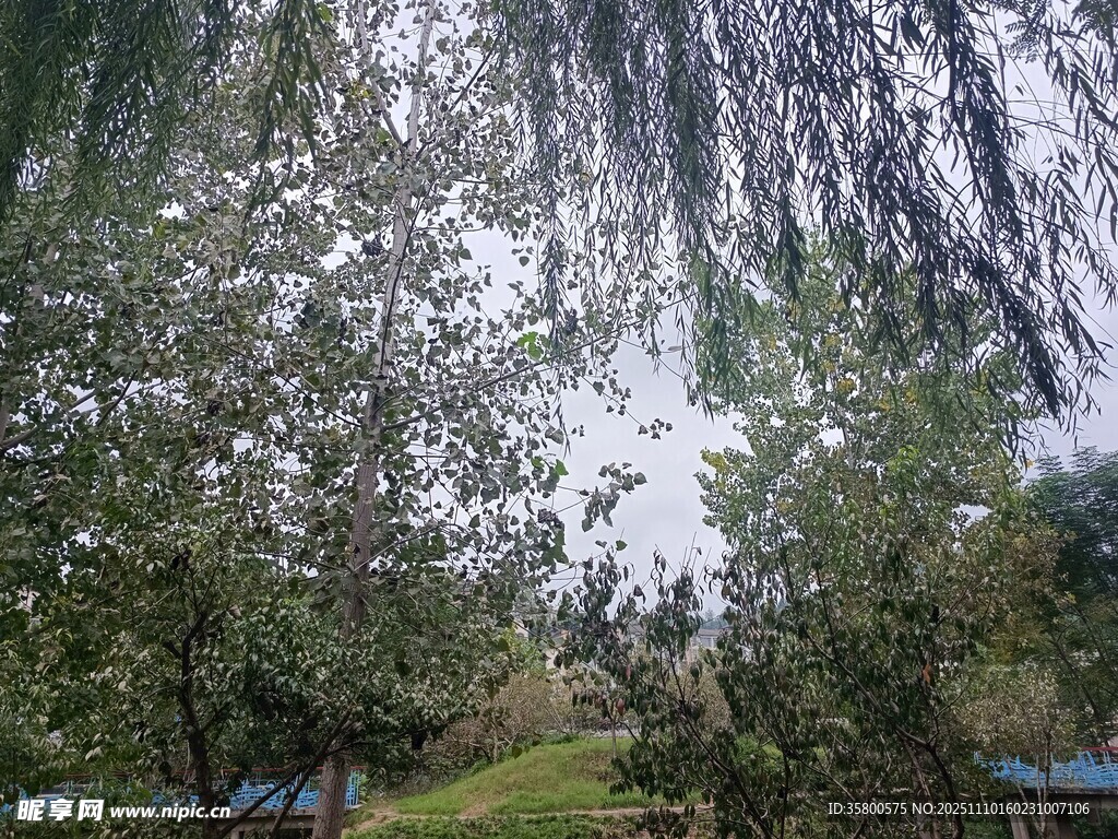 山間瀑布旁的綠意景致