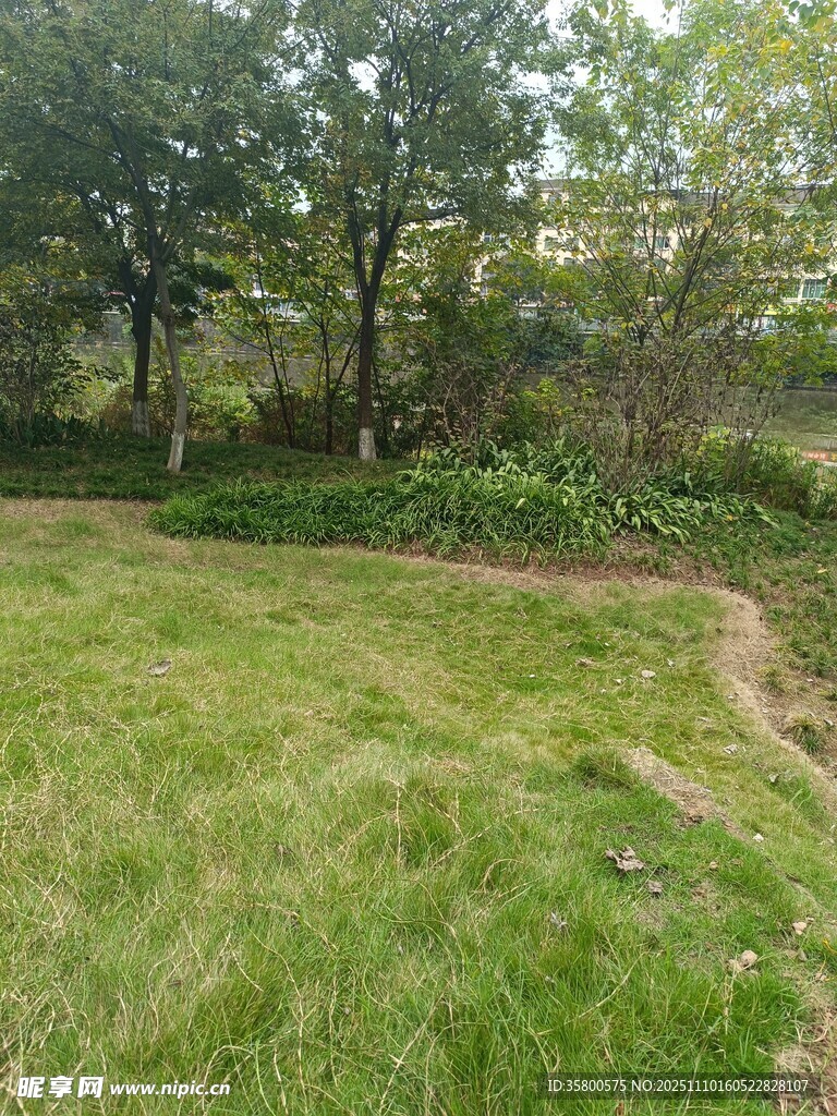 戶外草地樹林自然景致