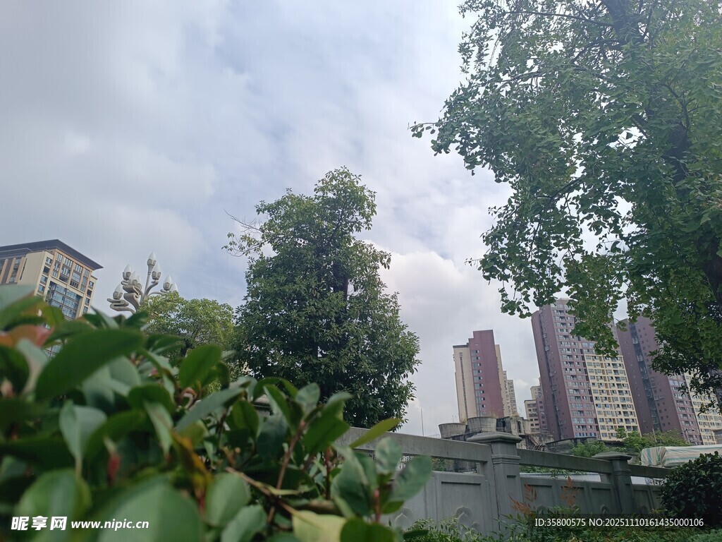城市綠植旁的高樓景觀