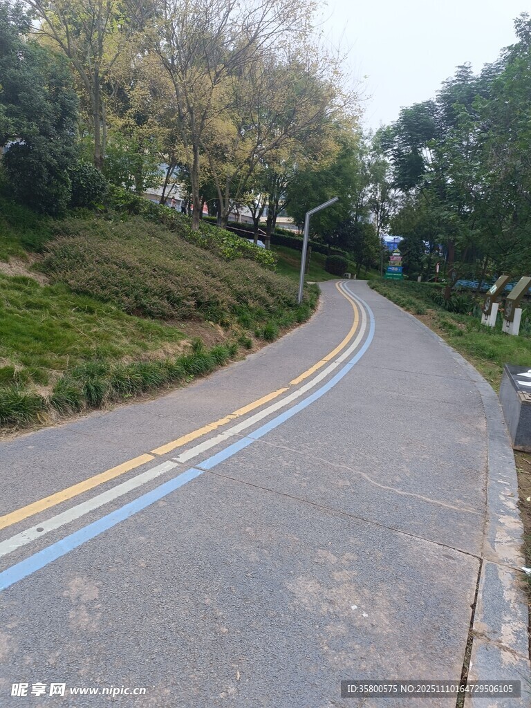蜿蜒公路旁綠意盎然