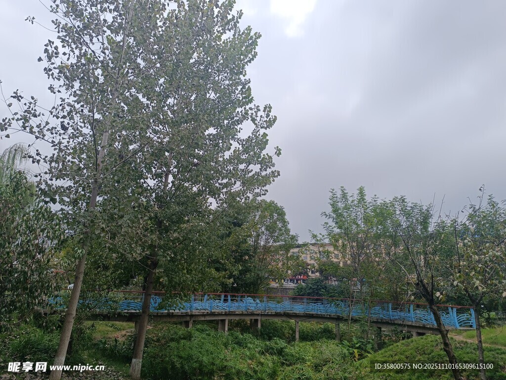 戶外樹林中的藍(lán)色吊橋