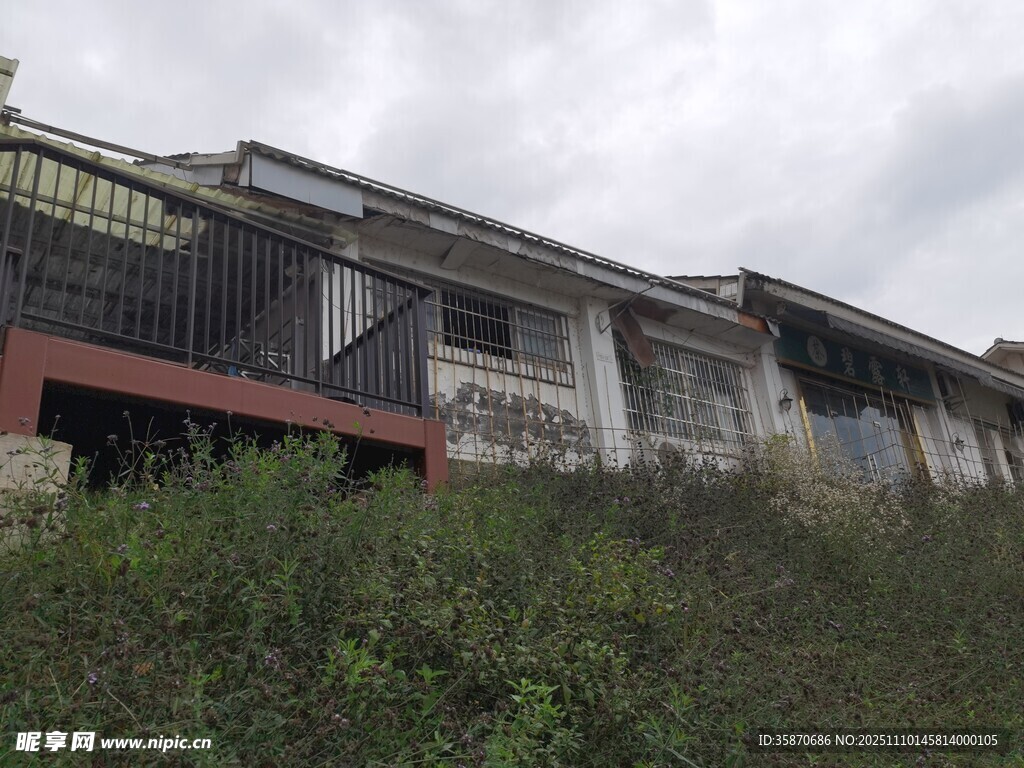 老舊建筑旁的茂盛植被