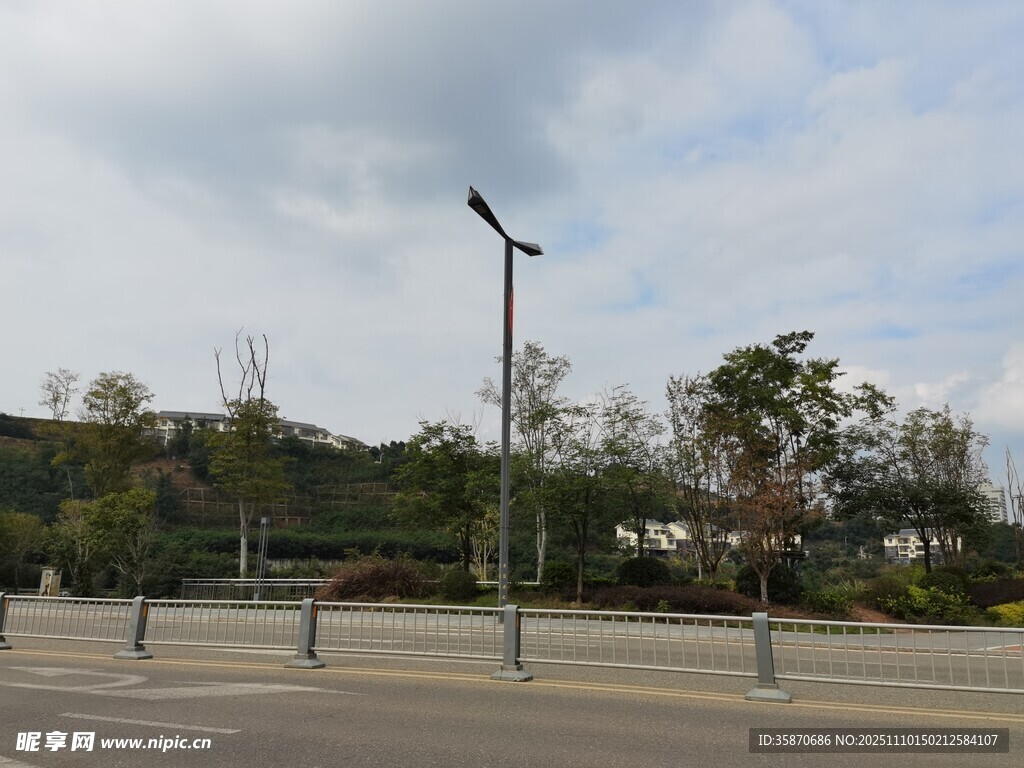 道路旁的路燈與開闊景致