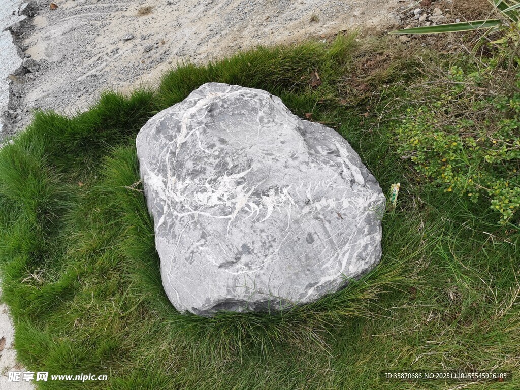 草地上的灰色石頭