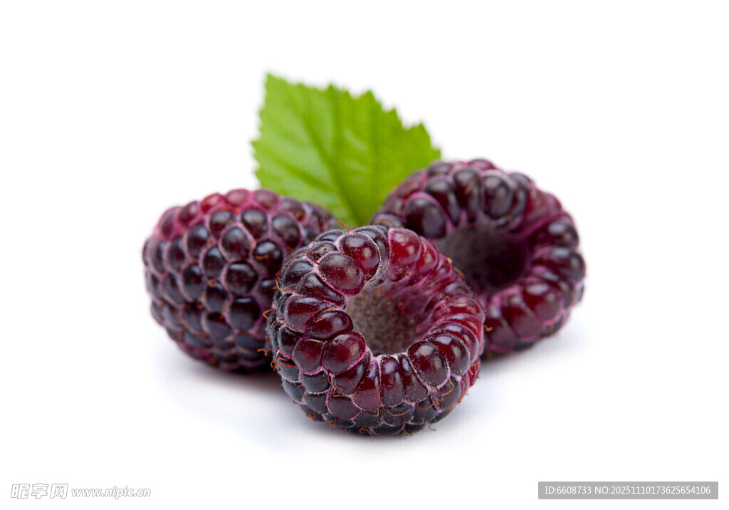 新鮮紫黑色樹莓帶綠葉
