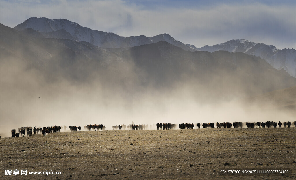 草原上的馬與遠(yuǎn)山風(fēng)景