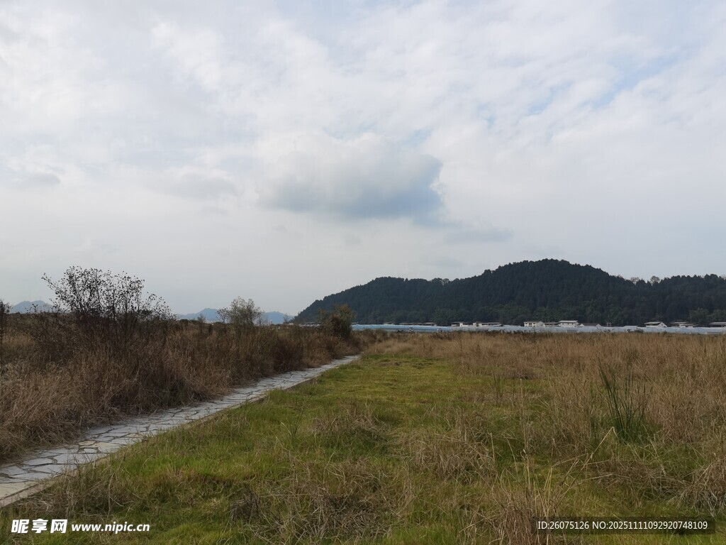 鄉(xiāng)間小路旁的開闊自然景致