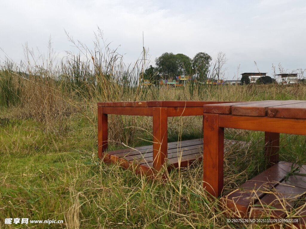 戶外木質平臺自然景致