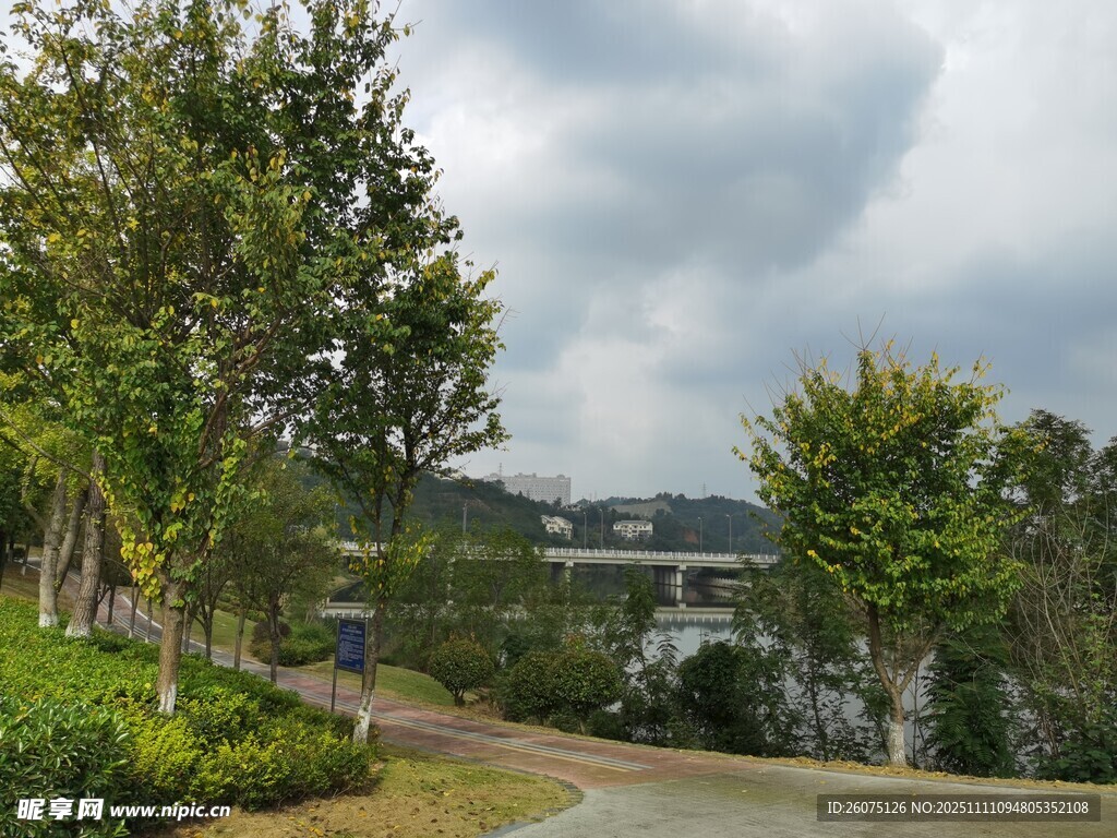 公園林蔭道風(fēng)景