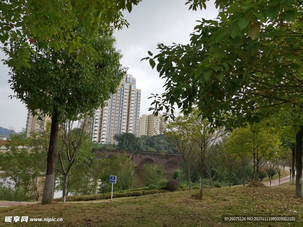 城市公園綠樹環(huán)繞景致