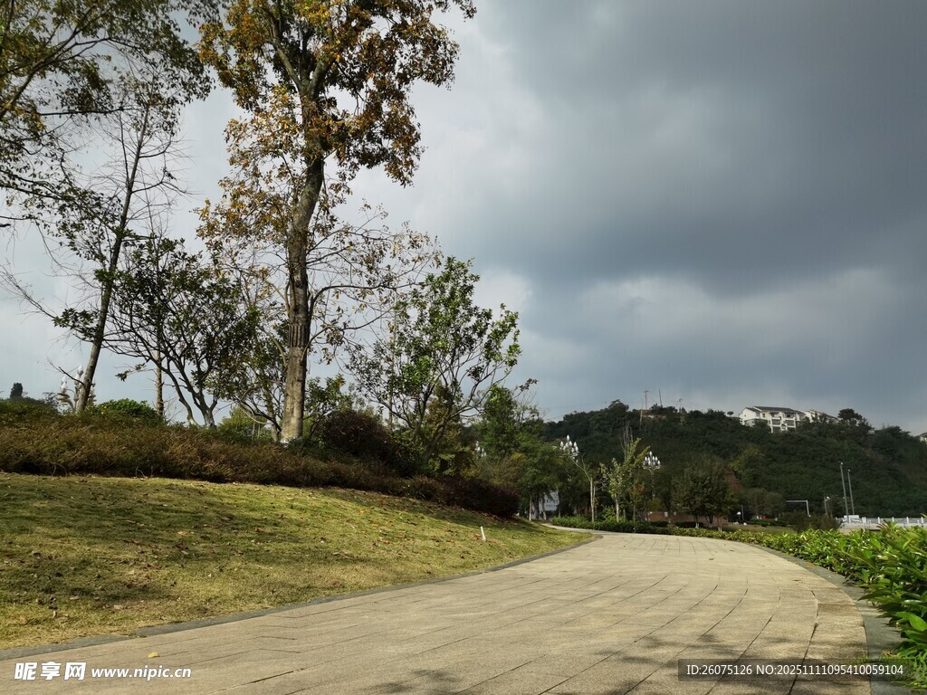 鄉(xiāng)間土路陰天下的自然景致