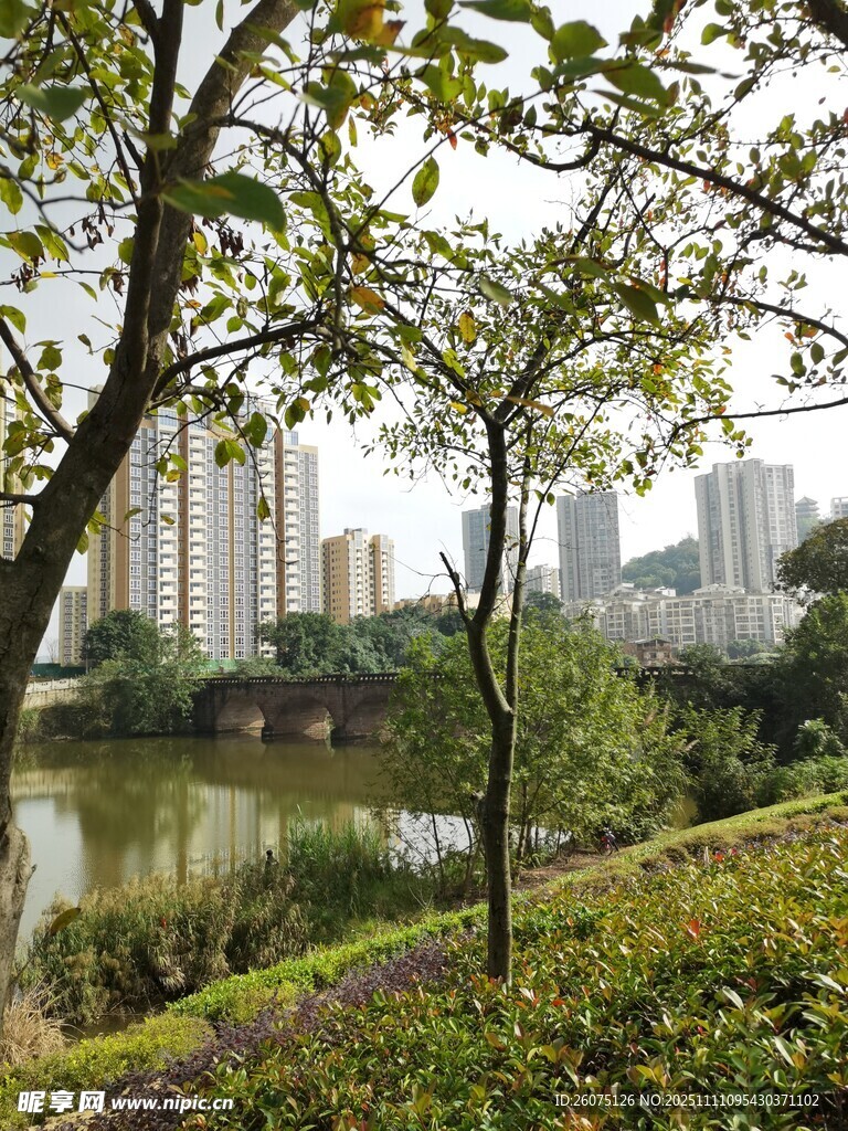 城市湖畔綠樹風(fēng)景