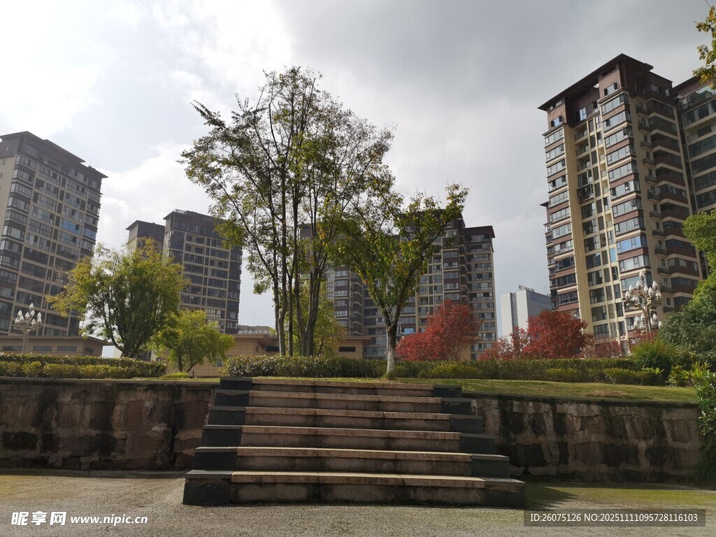 城市中階梯旁的綠樹與高樓