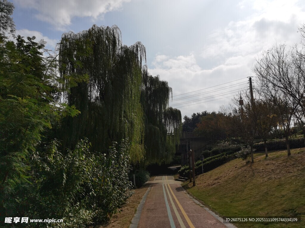 林間小道自然靜謐之景