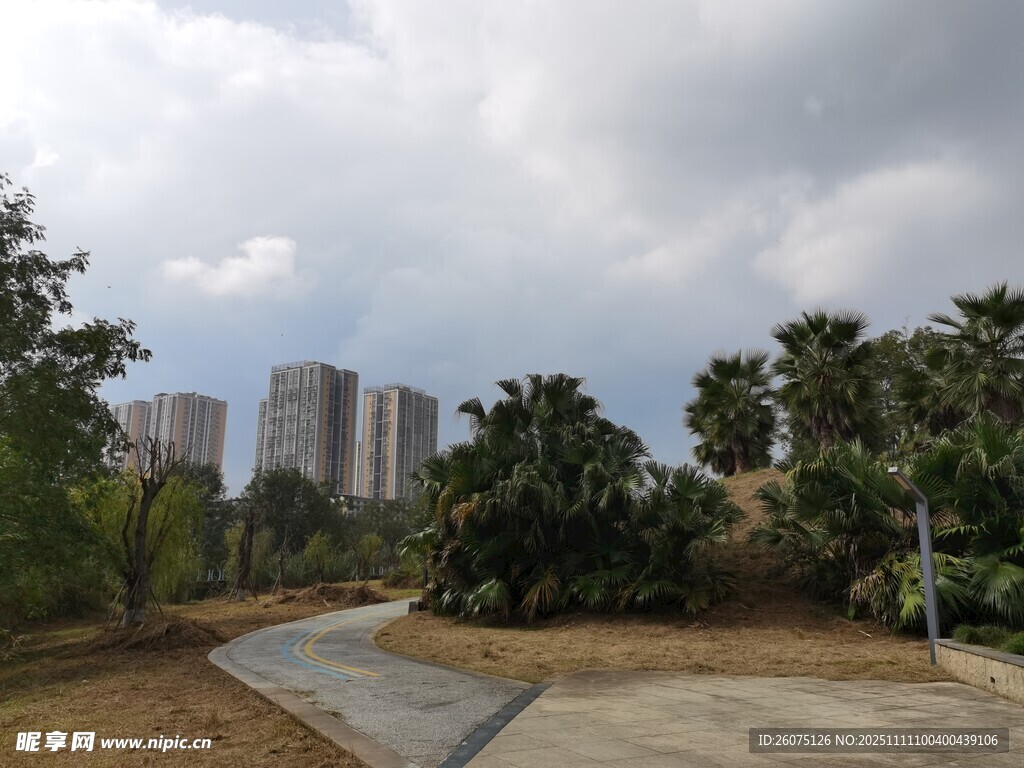 城市公園中的自然景致