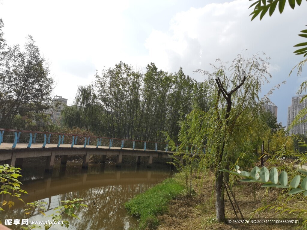 河畔風(fēng)景橋邊垂柳依依