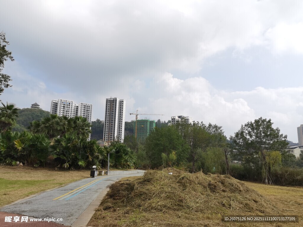 城市公園中的土堆景觀