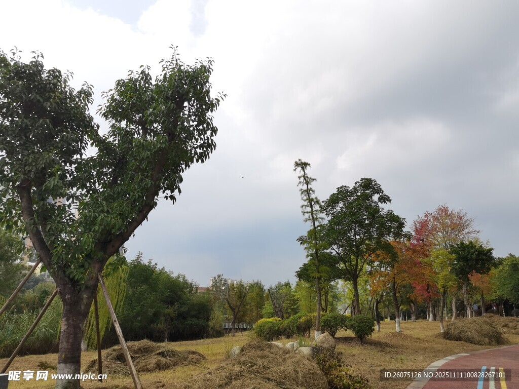 秋日郊野風(fēng)景