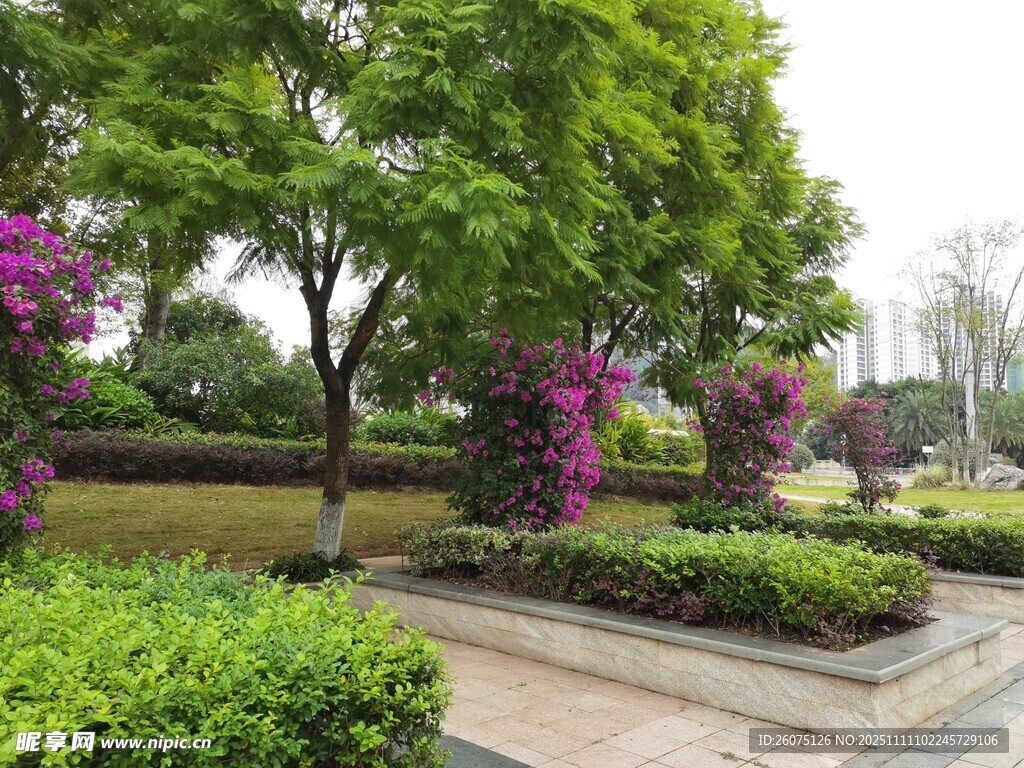 城市花園中的綠植景觀