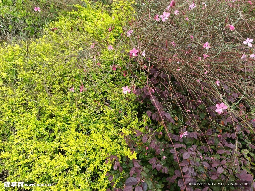 多彩花卉綠植景觀