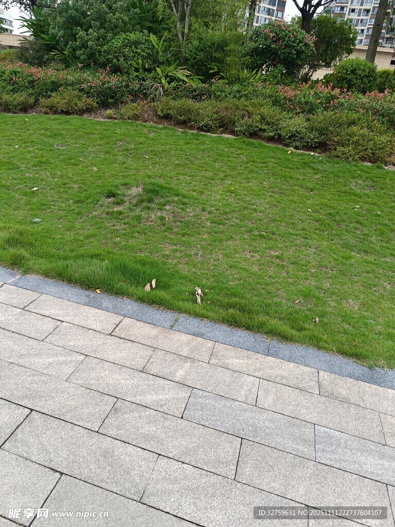 戶外草坪與石板路景觀