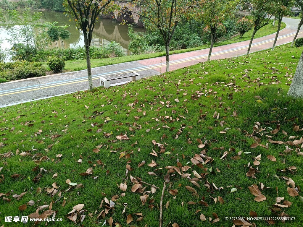 秋日草地落葉風(fēng)景圖