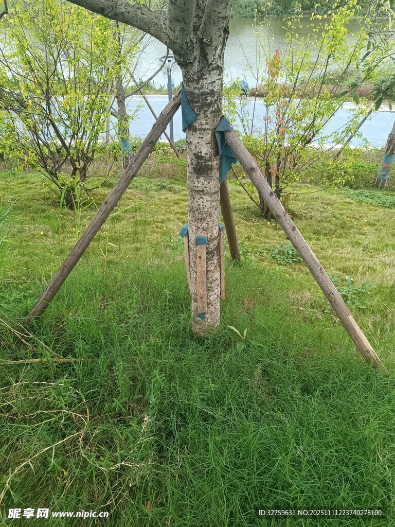 草地上的三腳架與裝飾物件