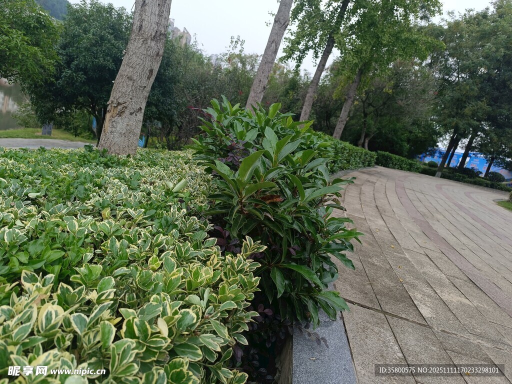 公園綠植與步道景觀