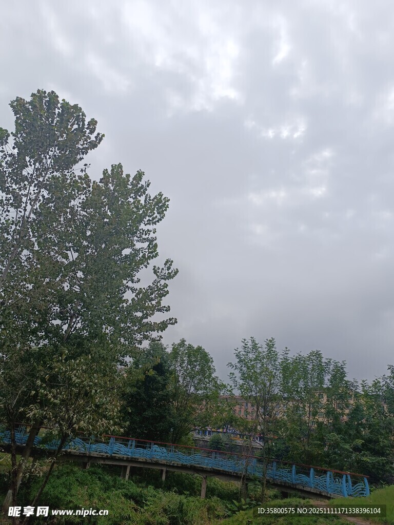 陰天樹(shù)林中的藍(lán)色設(shè)施