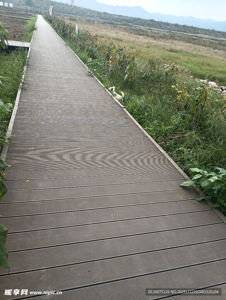 戶外木質(zhì)步道延伸向遠(yuǎn)方