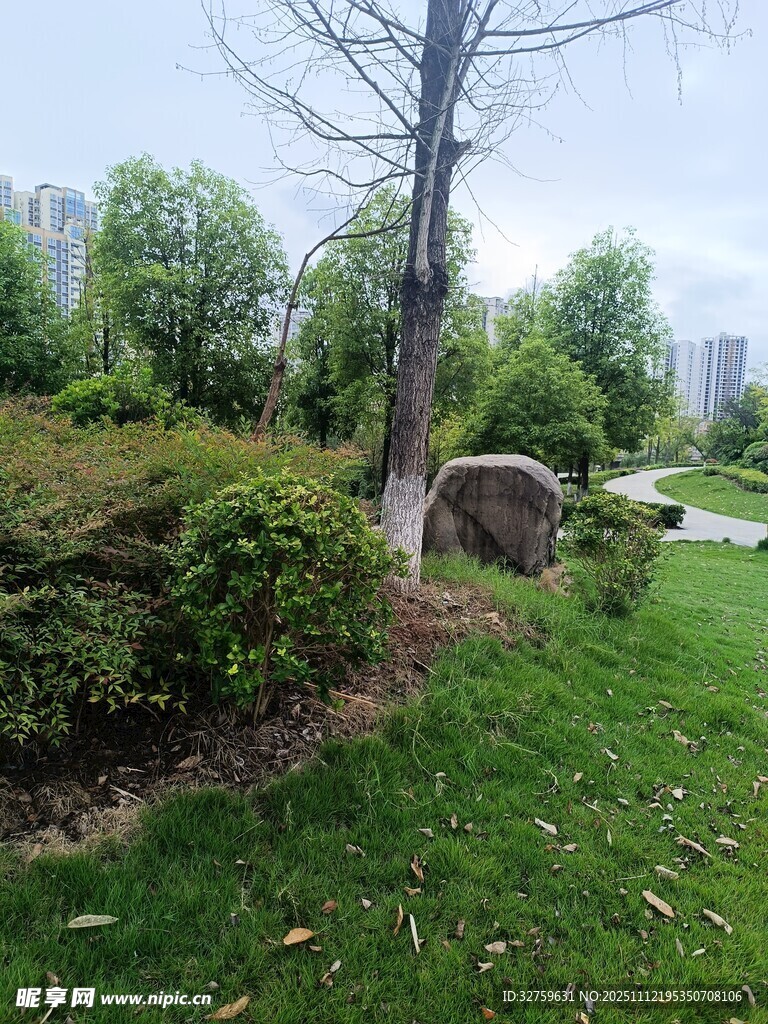 城市中的綠意景觀