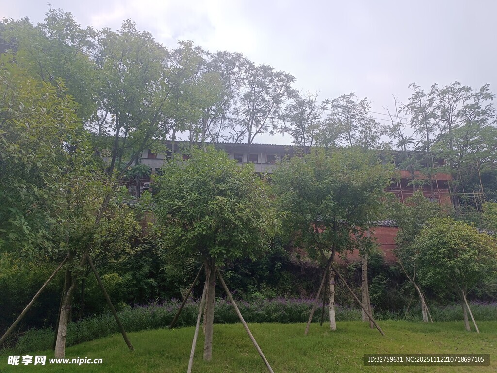 綠樹環(huán)繞的戶外景致