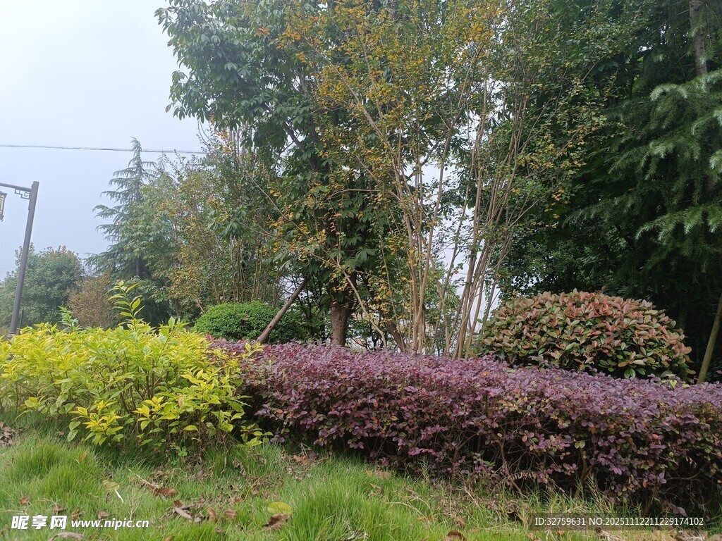 多彩園林植物景觀