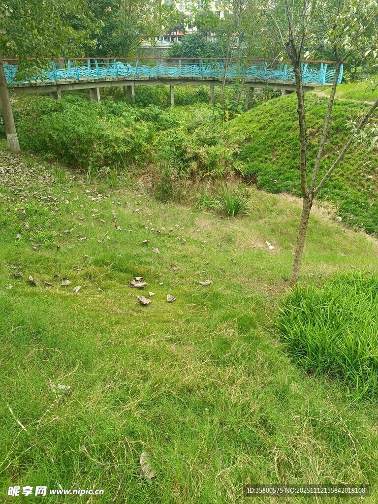 綠意盎然的自然景觀