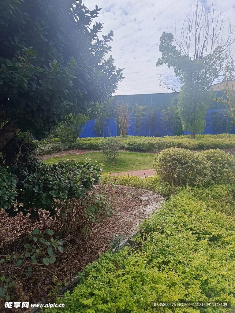 戶外綠植環(huán)繞的靜謐景致