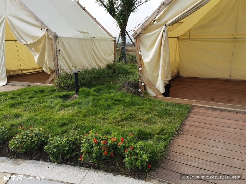 戶外帳篷旁的綠植景觀