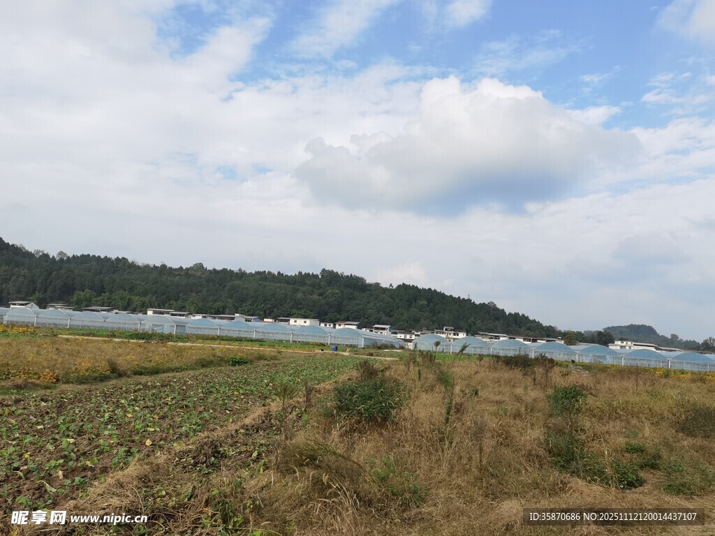 田野湖畔風(fēng)景