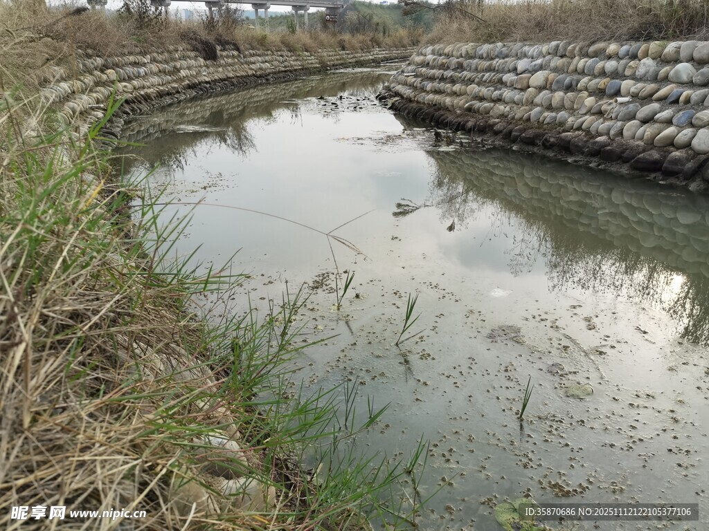 鄉(xiāng)村水田景象